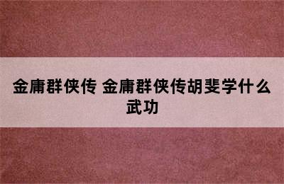 金庸群侠传 金庸群侠传胡斐学什么武功